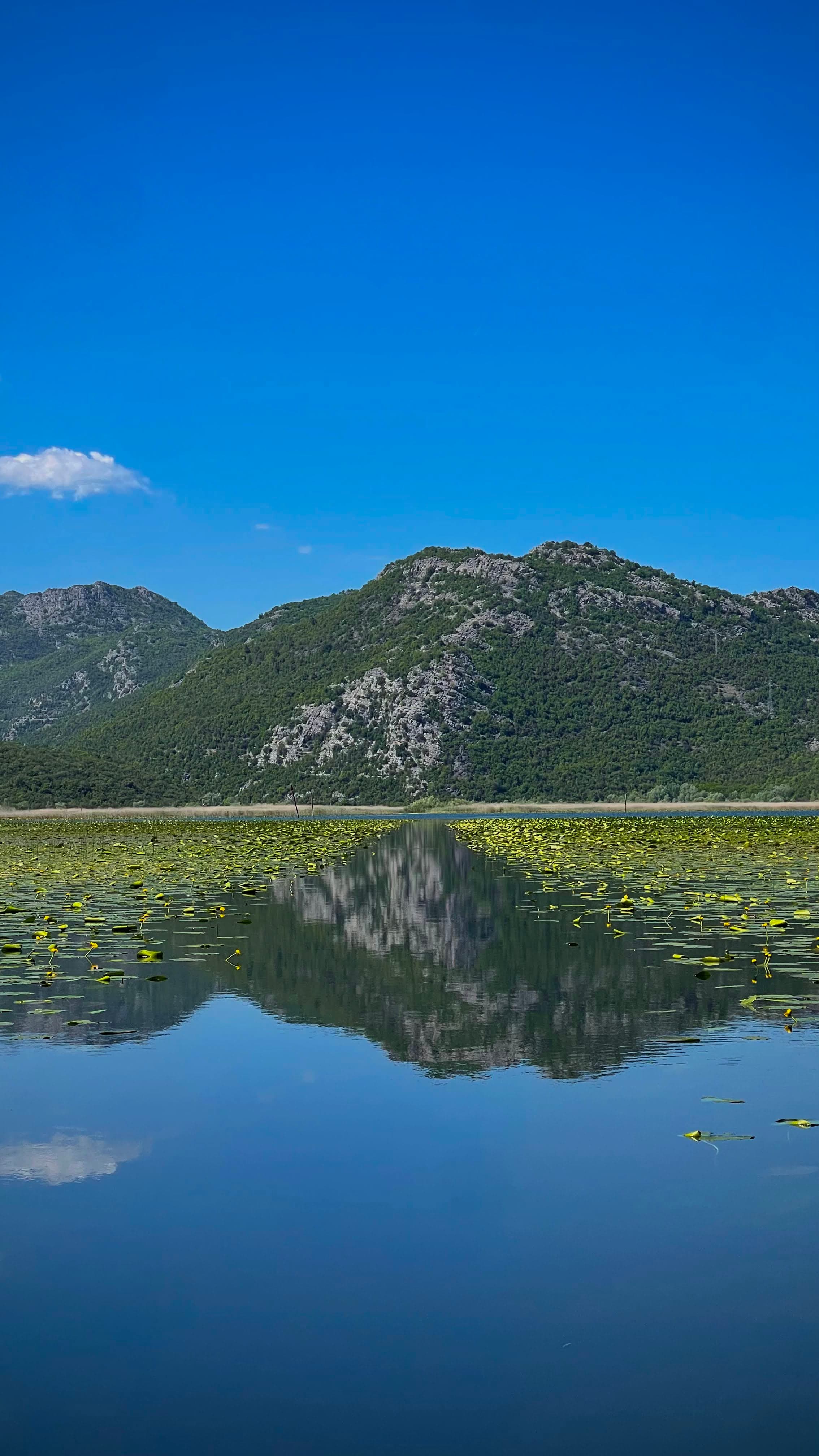 Miran ambijent Skadarskog jezera