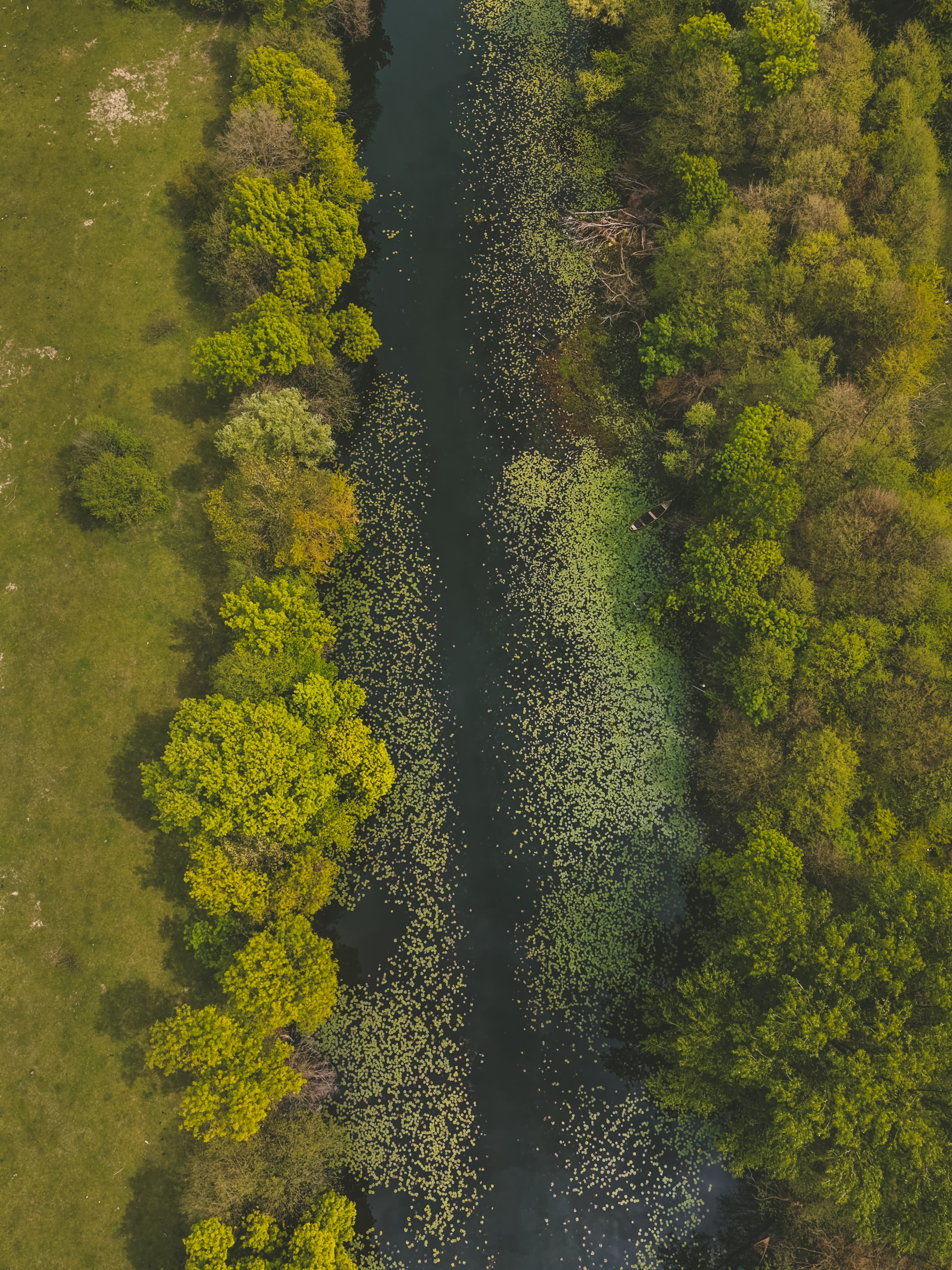 Vožnja jezerom u zlatnom satu